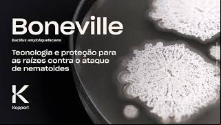 Play